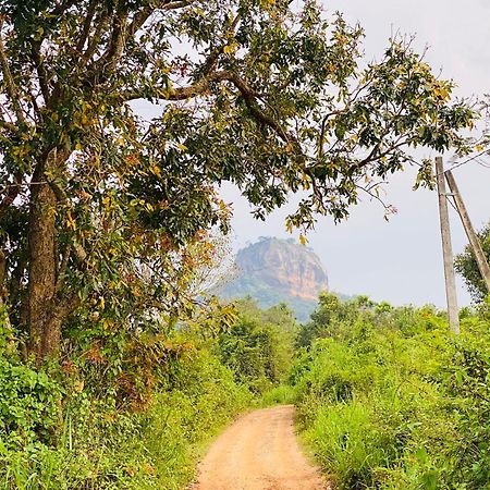 Hotel Sigiriya Kele 外观 照片