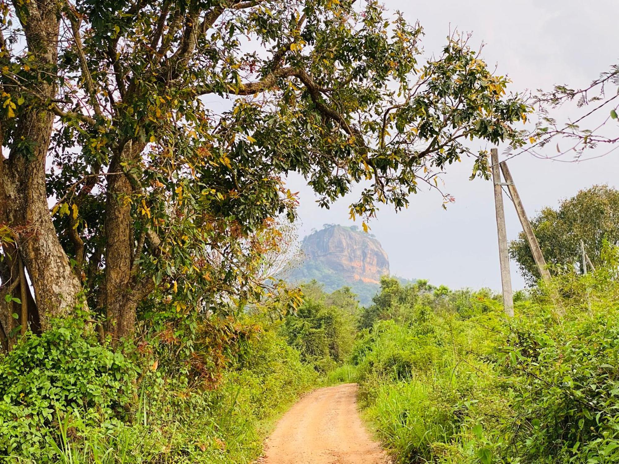 Hotel Sigiriya Kele 外观 照片