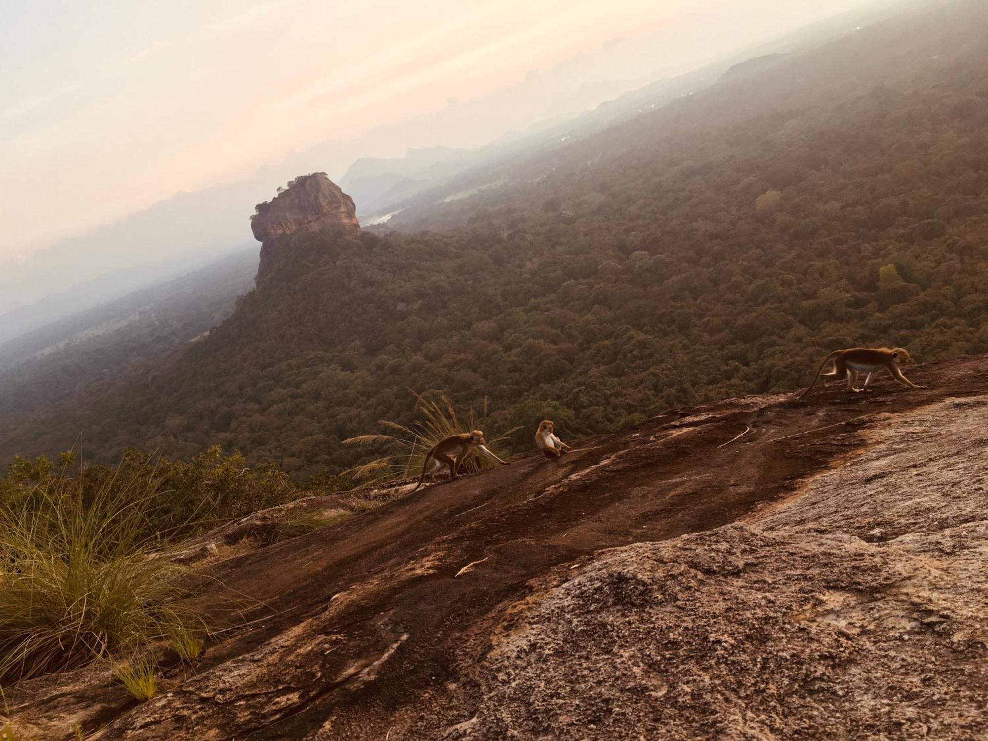 Hotel Sigiriya Kele 外观 照片