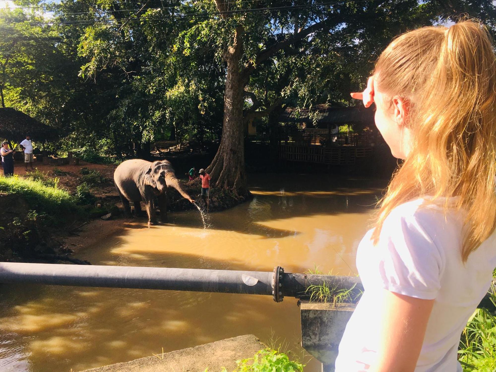 Hotel Sigiriya Kele 外观 照片